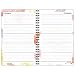 AT-A-GLANCE Weekly / Monthly Planner 2017, Recycled, 5.5 x 8.5 Inches, Watercolors (791200G)