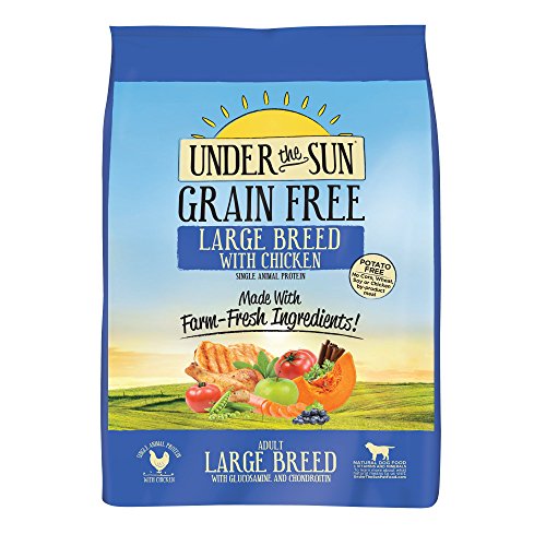 Buy CANIDAE Under The Sun Grain Free Dry Dog Food for Puppies, Adults