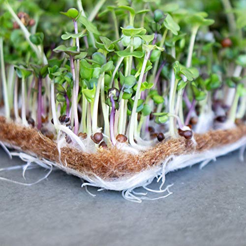 Pro Micro Jute Microgreens Grow Mats by Handy Pantry 10x20 Inches for