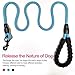 10 FT Strong Dog Leash Extra Heavy Duty Rock Climbing Rope Comfortable Padded Handle Highly Reflective Threads for Small Medium Large Dogs, 1/2 inch Diameter (Blue)