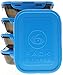 6 Pack Fitness Sure Seal Meal Prep Containers Set of 5 20oz (Black/Neon Blue)