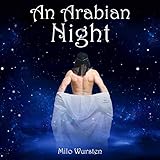 An Arabian Night: Gay Holiday Romance MM (Gay Sea Stories, Book 2) by