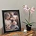 Fetco Home Dcor Longwood Rustic Black 8x10 Picture Frame