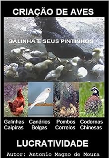 Livro Criação de aves: Criação de Galinhas, Codornas, Pombos e canários Belgas