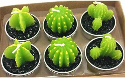 Pack Of 6 Variety Cacticacti Cutie Bougies