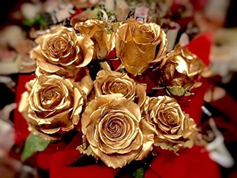 Amazon ゴールドローズ12本 金色のバラ そのまま飾れる花束 生花ブーケ フラワーアレンジメント プレゼント 記念日 お母さんへ 結婚祝い 還暦祝い 退職祝い 花束 オンライン通販