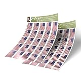 United States of America USA Country Flag Sticker Decal 1 Inch Rectangle Two Sheets 50 Total Pieces Kids Logo Scrapbook Car Vinyl Window Bumper Laptop American R