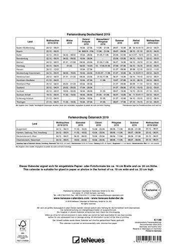 2019 Red Do it Yourself Calendar - 21 x 29.7 cm (English, German and French Edition)