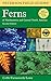 Peterson Field Guide to Ferns: Northeastern and Central North America, 2nd Edition