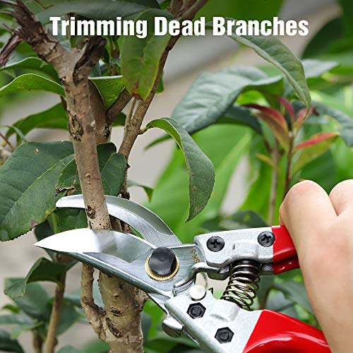 WYF 8.3 Inches Bypass Pruning Shears, Professional Hand Pruners Garden Clippers with SK5 Stainless Steel Blades, Flower Cutter, Garden Shear, Secateurs Hand Trimmers for Gardening
