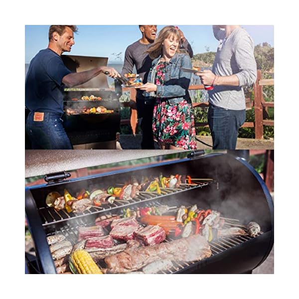 Z Grills ZPG1000D 2020 New Model 8 in 1 BBQ Grill Auto Temperature