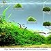 SunGrow Aquarium Shelf, 7-inches by 2.75-inches by 4.75-inches, Extra Level for Substrate and Live Plants, Crystal Clear Transparent Ledge, Holds up to 5 Pounds