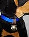 WARNER BRASS PLATED STEEL DOG COLLAR BELL (BEAR BELL) medium 1.5