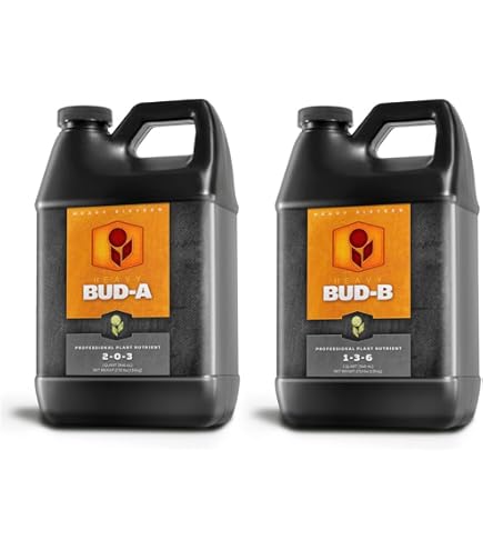 HEAVY 16 Bud B - Image 6