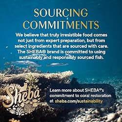 Sheba Perfect Portions Wet Cat Food Pate with
