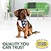 Vet's Best Aspirin Free Aches + Pains Dog Supplement | Vet Formulated for Dog Pain Support and Joint Relief (100 ct (2 Pack))