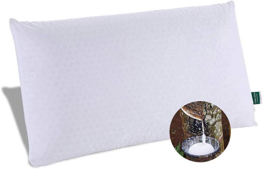 Medium Soft Natural Talalay Latex Foam Bed Pillow Eco-Friendly for Sleeping with 100% Cotton Zippered Cover (Queen Size (28 x16 x5 Inch))
