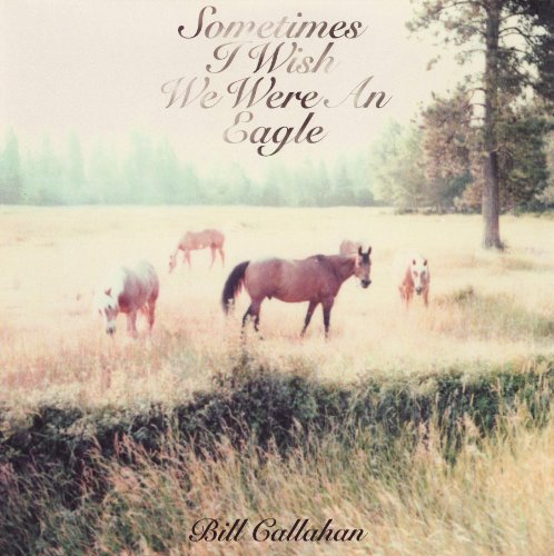 Bill Callahan - Sometimes I Wish We Were An Eagle - Zortam Music