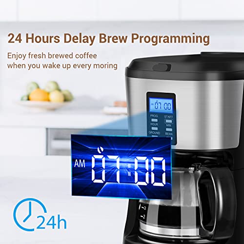 Nidouillet Drip Coffee Maker,Grind and Brew Automatic Coffee Machine,5 Cup Programmable Smart