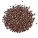 Spice Jungle Grains of Paradise - 1 oz.