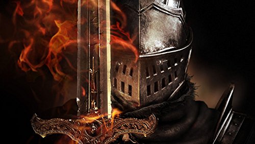Meikani® Dark Souls Silk Fabric Cloth Wall Poster Print 36X20 inch 19X13 inch (36X20-3)