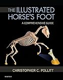 The Illustrated Horse's Foot - E-Book: A comprehensive guide