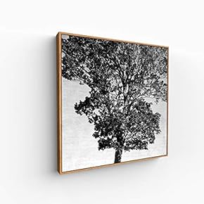 Canvas Wall Art for Living Room, Bedroom Monochrome Image Framed Canvas Prints for Home Decoration Ready to Hang - 16x16 inches