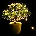 33ft LED String Lights Dimmable with Remote Control, ALPULON Waterproof Lights for Christmas Decorations,Parties,Bedroom,Patio,Garden,Gate,Yard,Outdoor(Copper Wire Lights, Warm White)