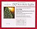 Trim-a-Tree 150 Indoor Outdoor Net Style Christmas Lights (Clear)