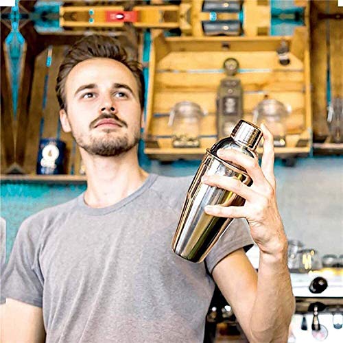 FAGavin Cocktail-Shaker-Set, Edelstahl-Barzubehörfamilie Bartending-Kombination-Tool (Größe: 750ml) (Size : 550ml) – Bild 3