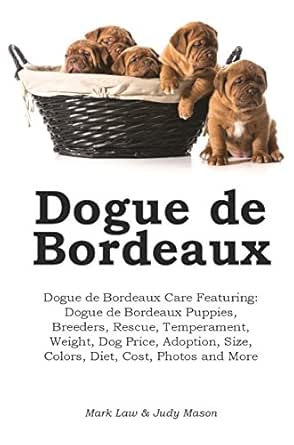 dogue de bordeaux puppies rescue