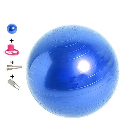 65cm Sports Yoga Ball Fitness Gym Balance Fit ball Workout ...