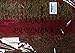 Sakkas Border Pattern Layered Reversible Woven Pashmina Shawl Scarf Wrap Stole - Burgandy