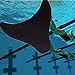 BestWare Swiming Flipper Diving Fins Floating Fins Swim Fins Black Fish Tail Fins S -for Child, L -for adult