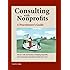 Nonprofit Consulting Essentials What Nonprofits And