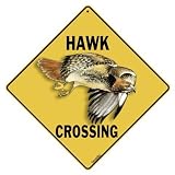Hawk Crossing 12" X 12" Aluminum Sign