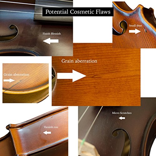 3 Bunnel+Premier+Clearance+Student+Violin