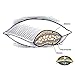Pacific Coast Double Down Around Queen Pillow