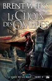 Le  choix des ombres