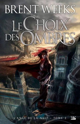 Le  choix des ombres