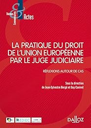 La  pratique du droit de l'Union européenne par le juge judiciaire