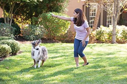 PetSafe YardMax Rechargeable In-Ground Fence Receiver Collar