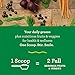 Amazing Grass Green Superfood: Organic Wheat Grass and 7 Super Greens Powder, 2 servings of Fruits & Veggies per scoop, Original Flavor, 60 Servingsthumb 1