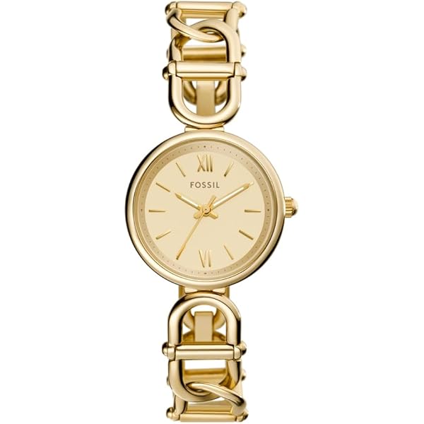 ⭐ORIGIN O3 オゾン水生成器⭐ Amazon.com: Fossil Women's Carlie Three-Hand Gold-Tone