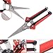 Aynice Pruning Shears, Professional Gardening Shears, Stainless Steel Ultra Sharp Multi-Purpose Hand Pruner Scissors for Garden Harvesting Fruits, Vegetables, Trimming Flowers and Plantsthumb 1