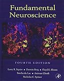 Fundamental Neuroscience, Fourth Edition (Squire,Fundamental Neuroscience) cover