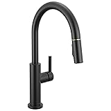 Delta Faucet Nicoli Kitchen Faucet with Pull Down