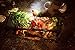 Camp Chef Lumberjack Over Fire Grill - Steel Campfire Grill for Outdoor Cooking Equipment & Camping Gear & Accessories - 18