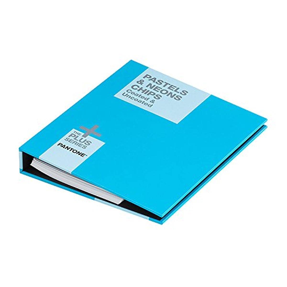 Pantone Gb1504 Pastel/Neons Chip Book