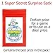 Super Secret Surprise Sack 100 Pc Terrific Toy Assortment (Toys for Party Favor Goody Bags, Piñata, Carnival Prizes, or School Classroom Rewards Treasure Box)